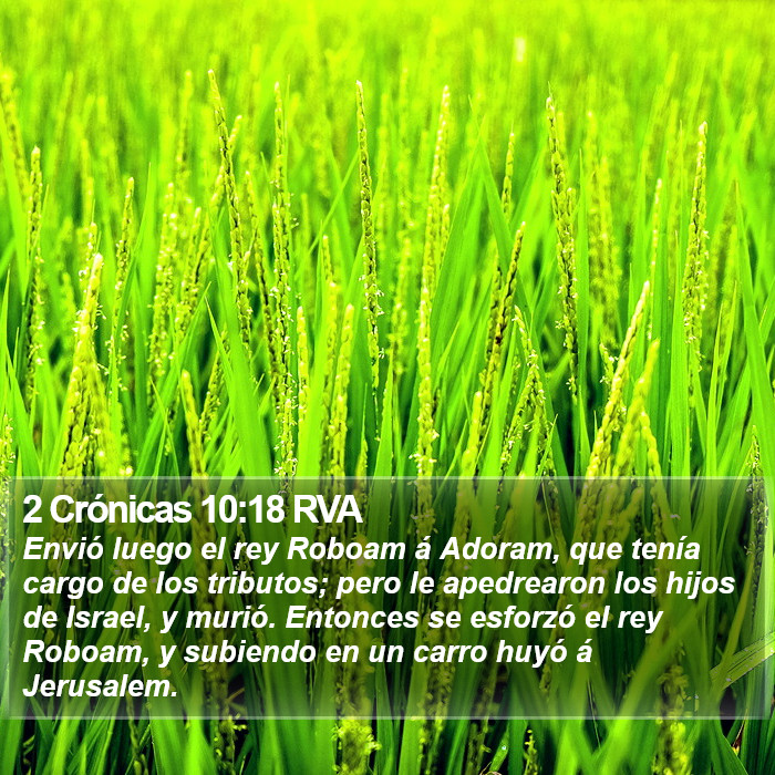 2 Crónicas 10:18 RVA Bible Study