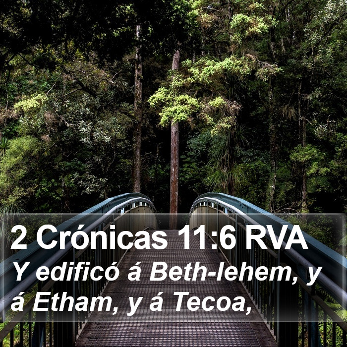 2 Crónicas 11:6 RVA Bible Study