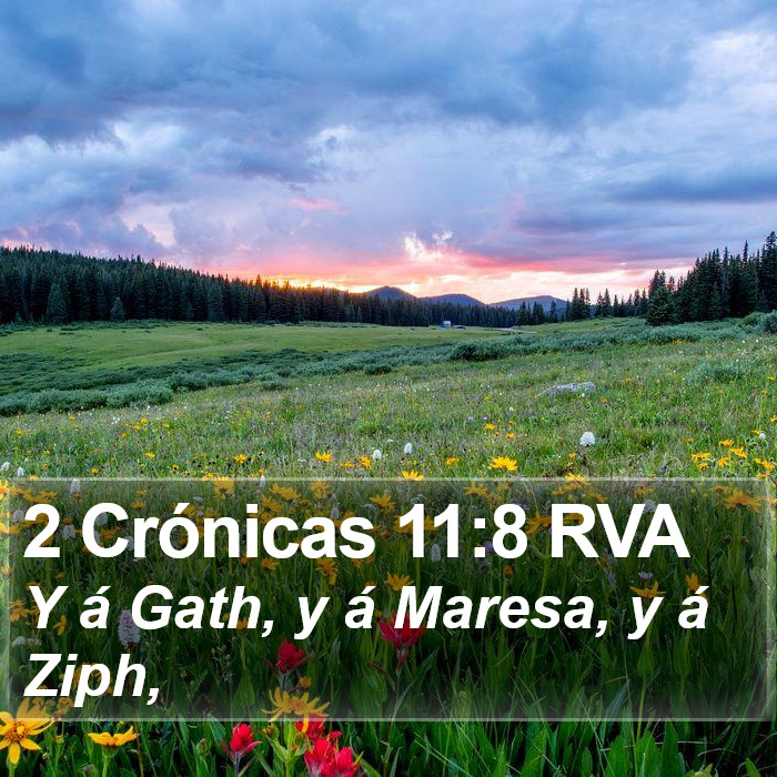 2 Crónicas 11:8 RVA Bible Study