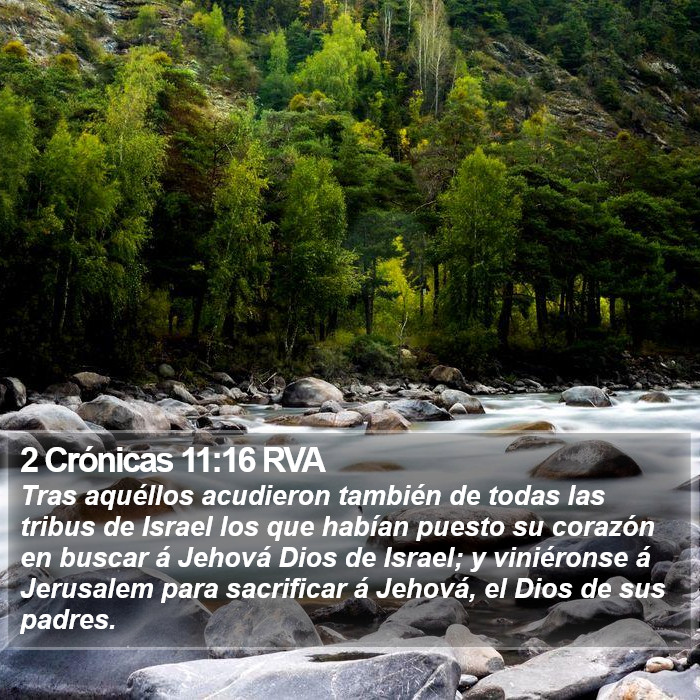 2 Crónicas 11:16 RVA Bible Study