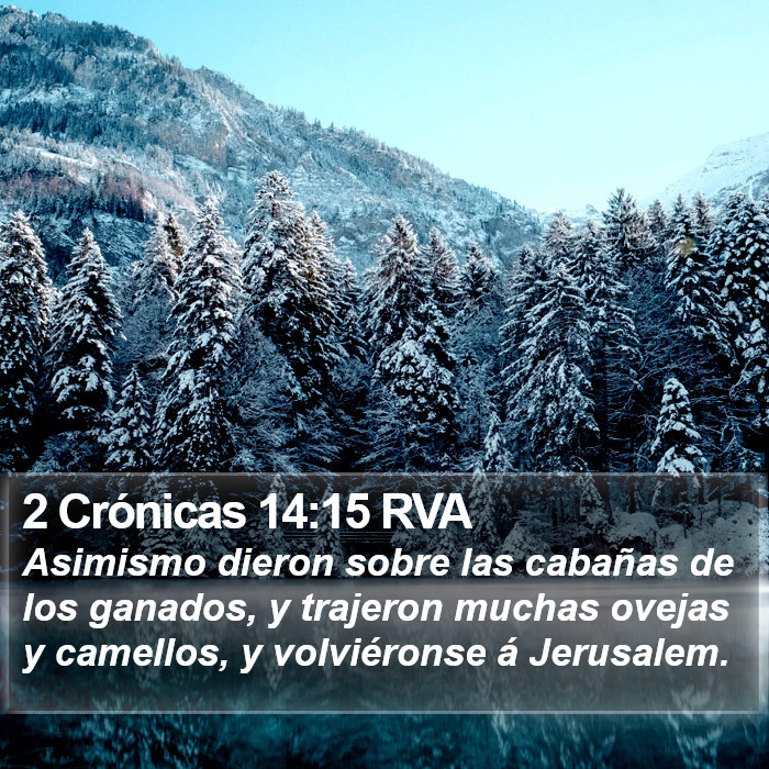 2 Crónicas 14:15 RVA Bible Study