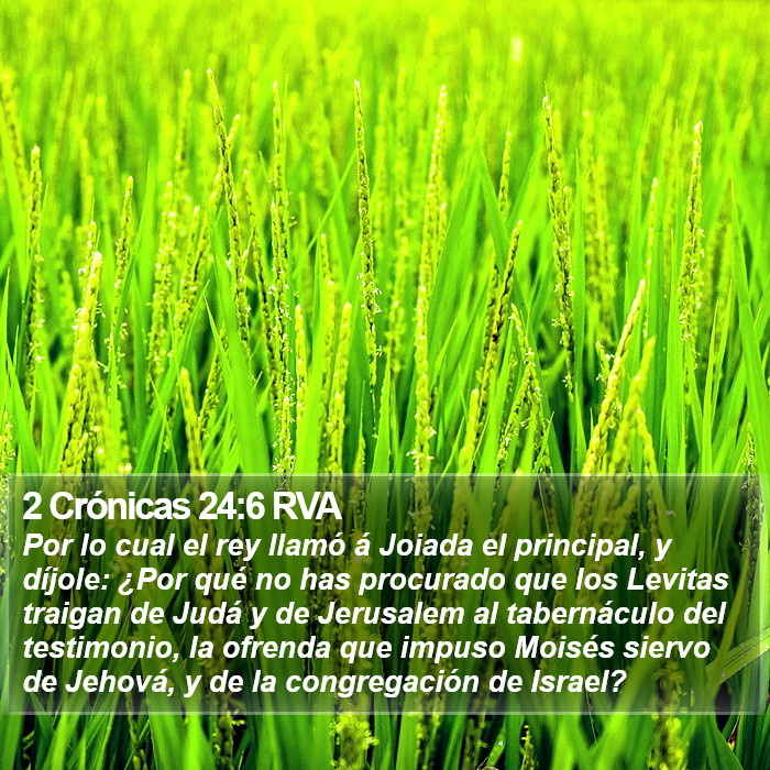 2 Crónicas 24:6 RVA Bible Study