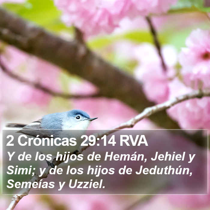 2 Crónicas 29:14 RVA Bible Study