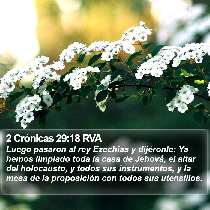 2 Crónicas 29:18 RVA Bible Study