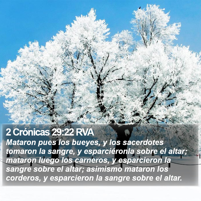 2 Crónicas 29:22 RVA Bible Study