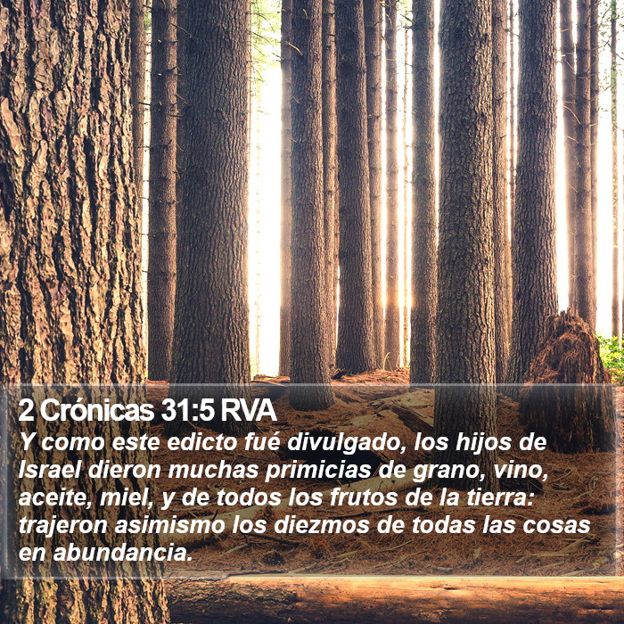 2 Crónicas 31:5 RVA Bible Study