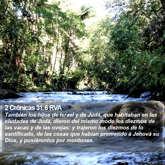 2 Crónicas 31:6 RVA Bible Study