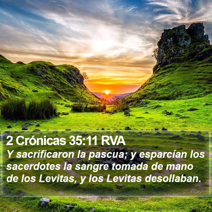 2 Crónicas 35:11 RVA Bible Study