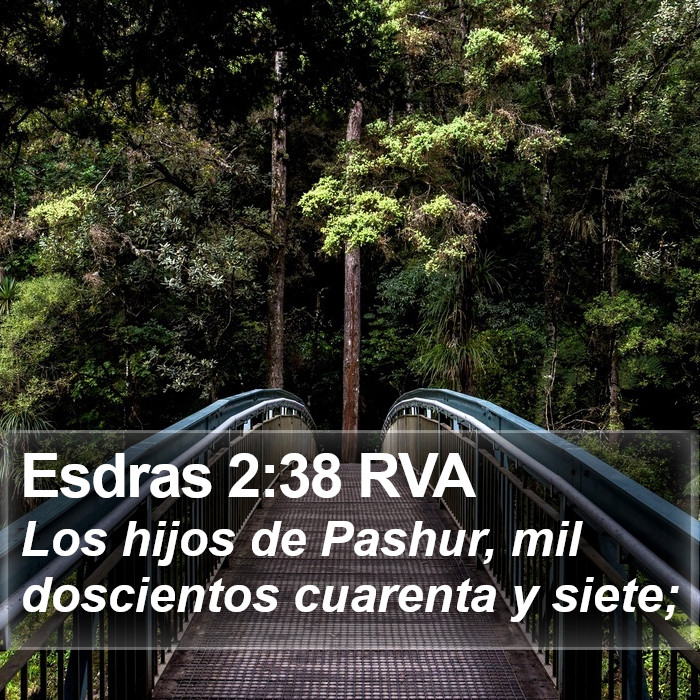 Esdras 2:38 RVA Bible Study