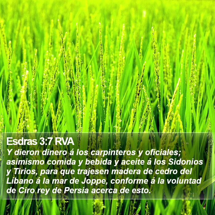 Esdras 3:7 RVA Bible Study