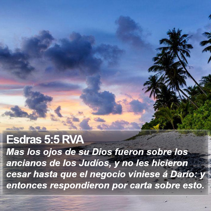 Esdras 5:5 RVA Bible Study