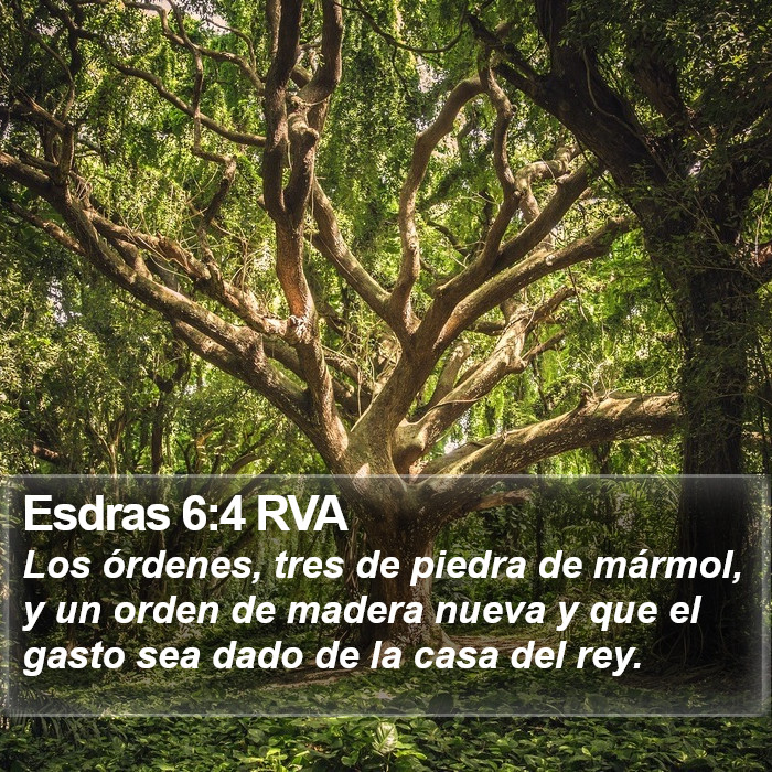 Esdras 6:4 RVA Bible Study