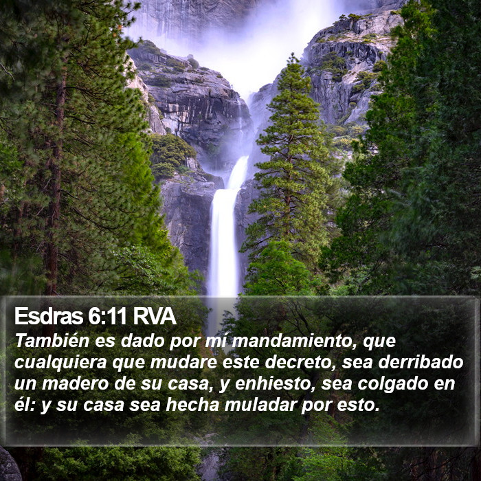 Esdras 6:11 RVA Bible Study