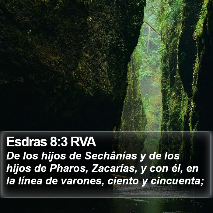 Esdras 8:3 RVA Bible Study