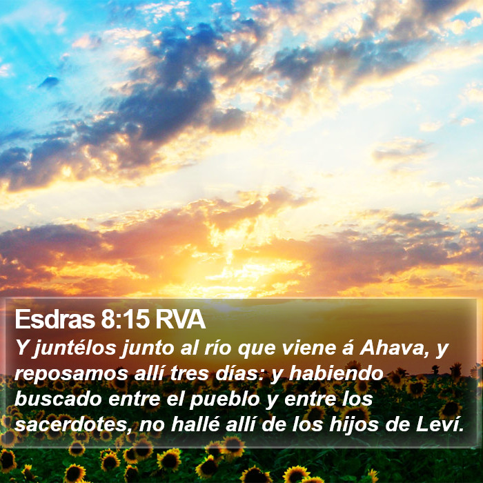 Esdras 8:15 RVA Bible Study