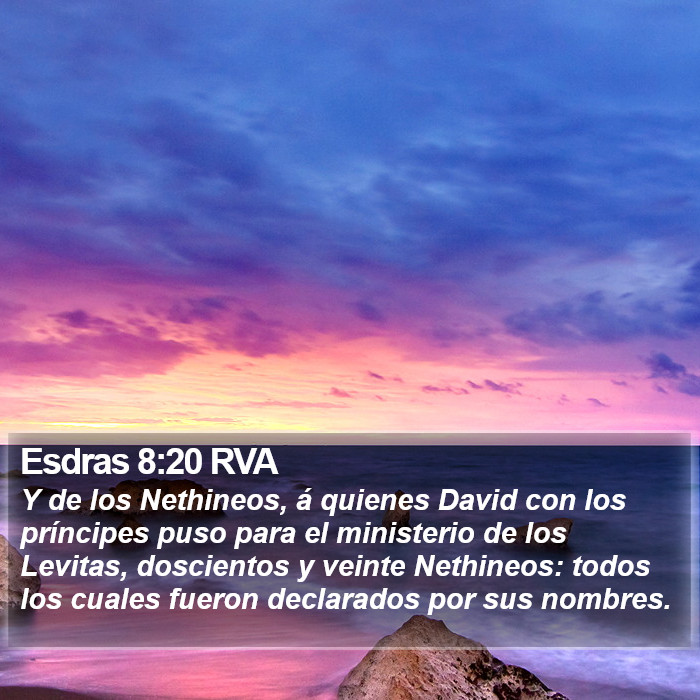 Esdras 8:20 RVA Bible Study