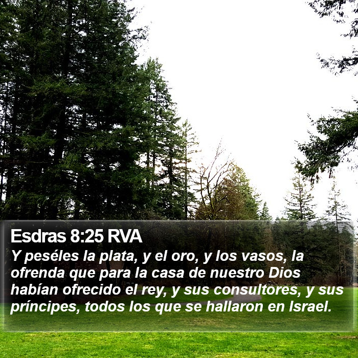 Esdras 8:25 RVA Bible Study