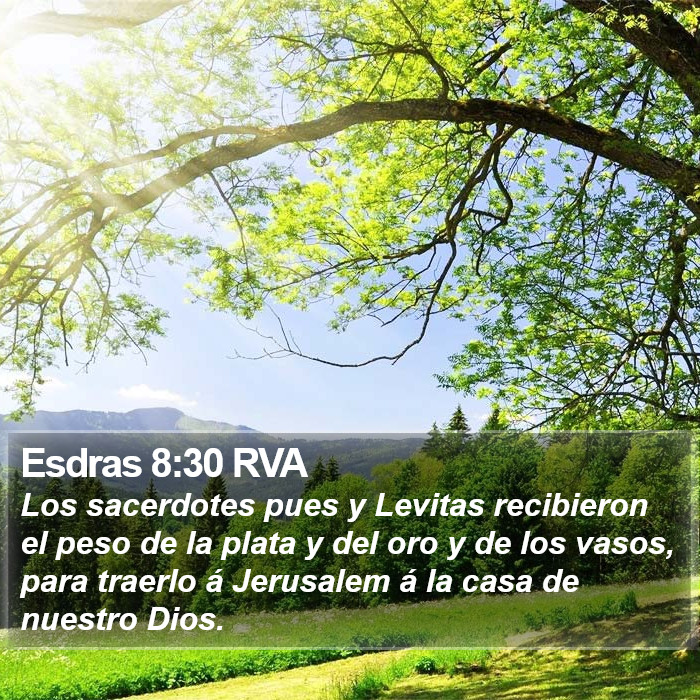 Esdras 8:30 RVA Bible Study