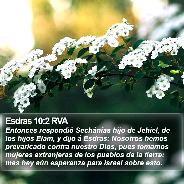 Esdras 10:2 RVA Bible Study