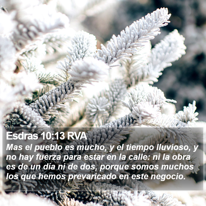 Esdras 10:13 RVA Bible Study