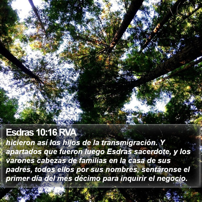 Esdras 10:16 RVA Bible Study