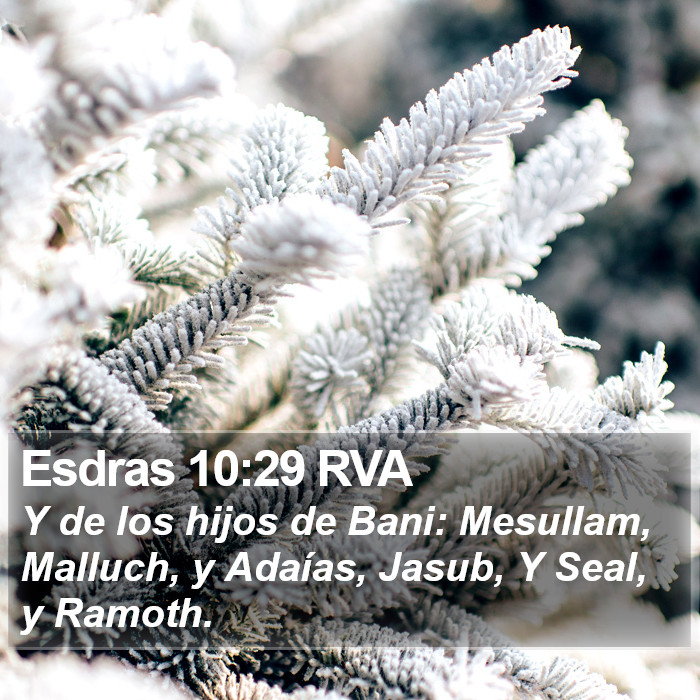 Esdras 10:29 RVA Bible Study