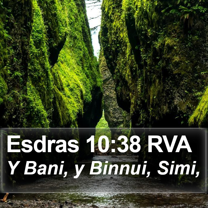 Esdras 10:38 RVA Bible Study