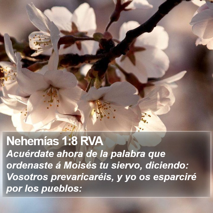 Nehemías 1:8 RVA Bible Study