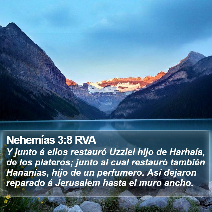 Nehemías 3:8 RVA Bible Study