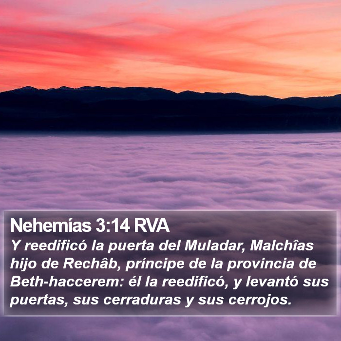 Nehemías 3:14 RVA Bible Study