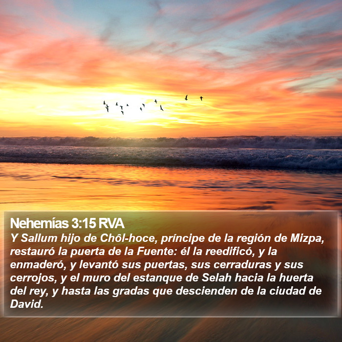 Nehemías 3:15 RVA Bible Study