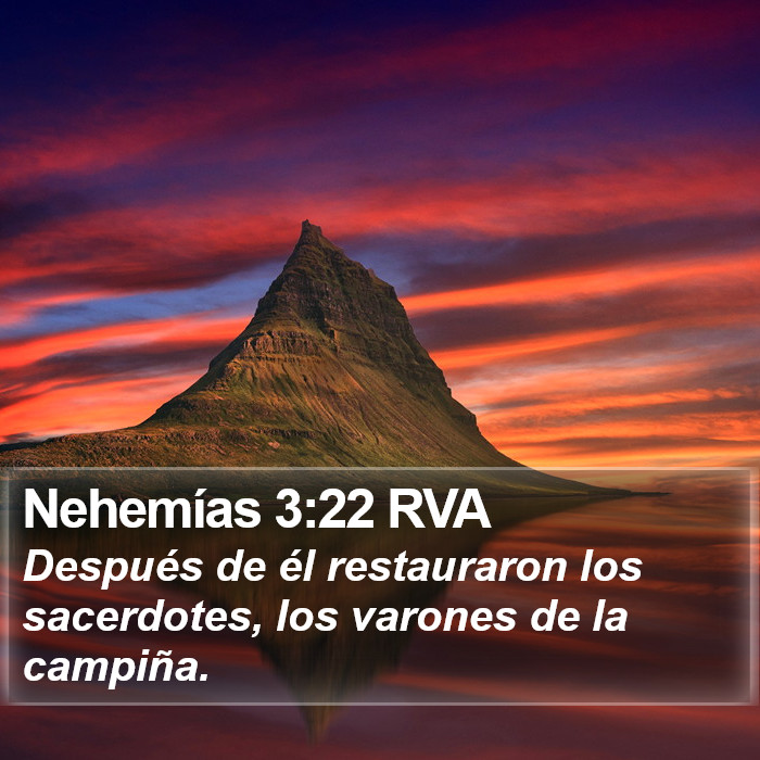 Nehemías 3:22 RVA Bible Study