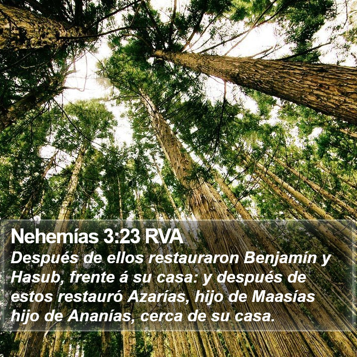 Nehemías 3:23 RVA Bible Study