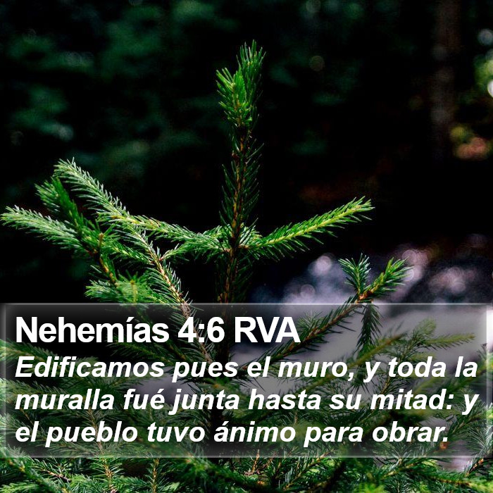 Nehemías 4:6 RVA Bible Study