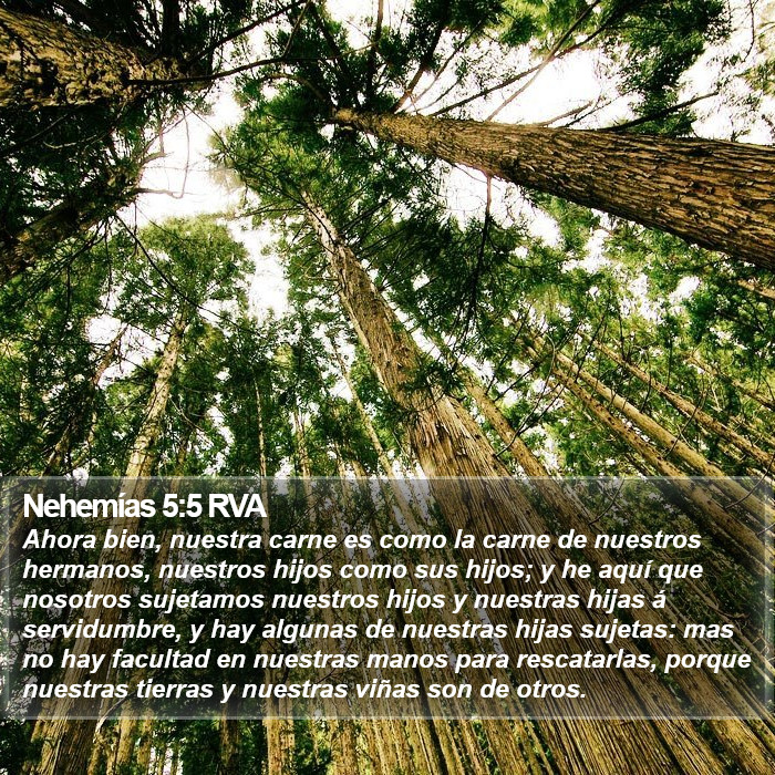 Nehemías 5:5 RVA Bible Study