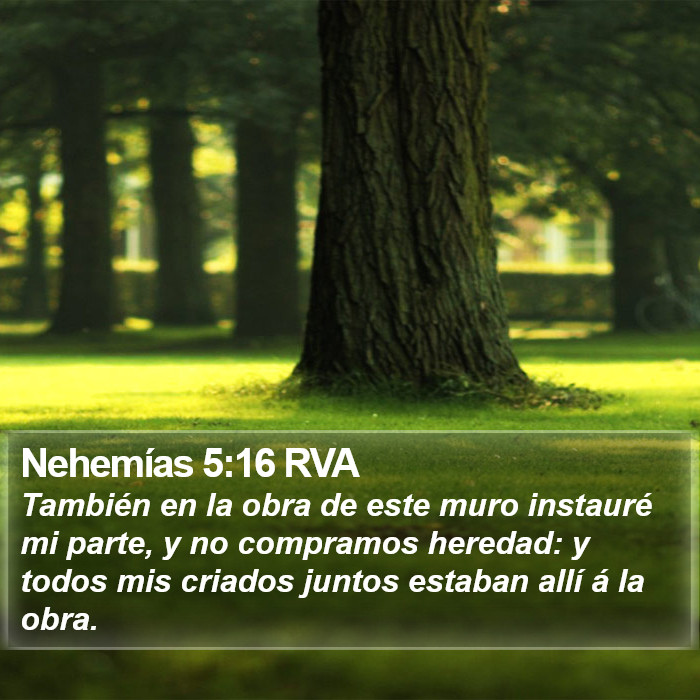 Nehemías 5:16 RVA Bible Study