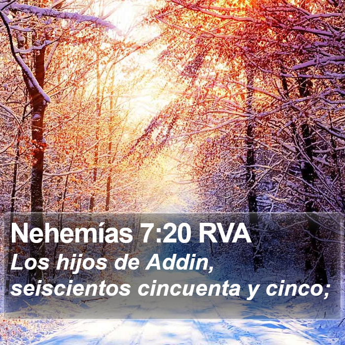 Nehemías 7:20 RVA Bible Study