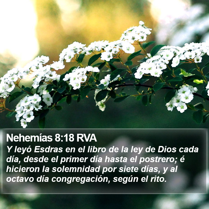 Nehemías 8:18 RVA Bible Study