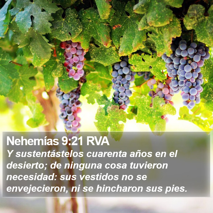 Nehemías 9:21 RVA Bible Study