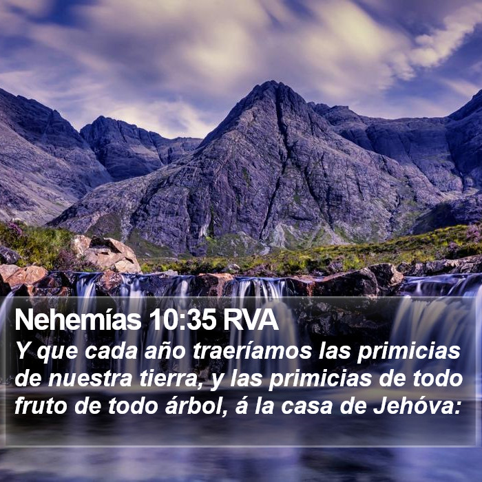 Nehemías 10:35 RVA Bible Study