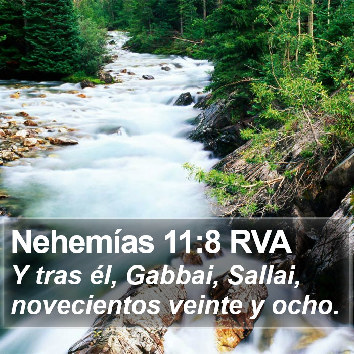 Nehemías 11:8 RVA Bible Study