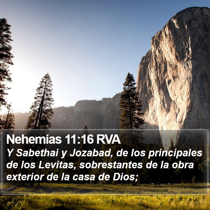 Nehemías 11:16 RVA Bible Study