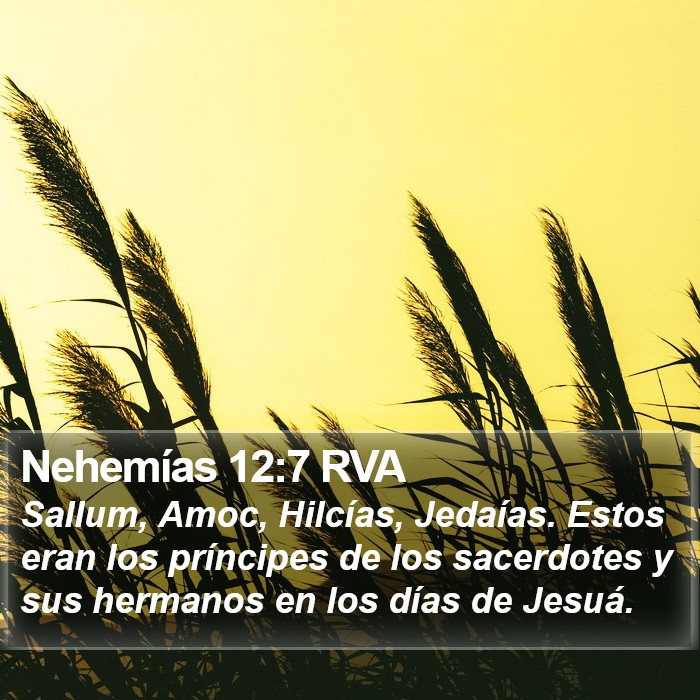 Nehemías 12:7 RVA Bible Study