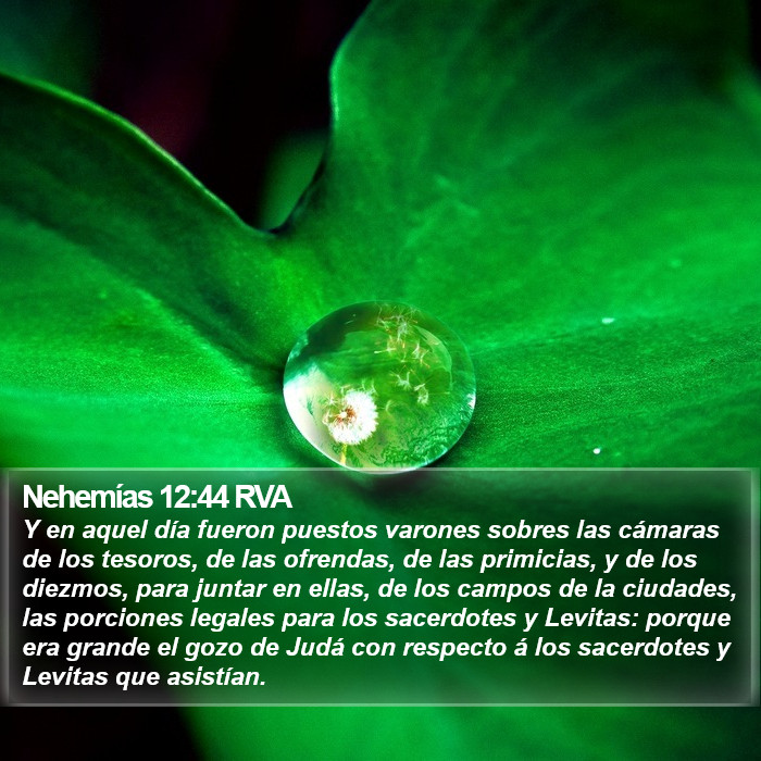 Nehemías 12:44 RVA Bible Study