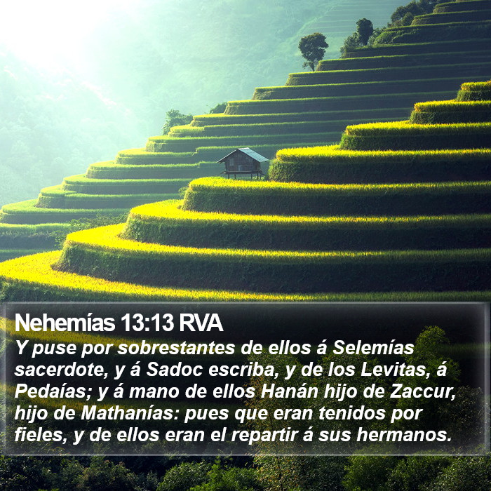 Nehemías 13:13 RVA Bible Study