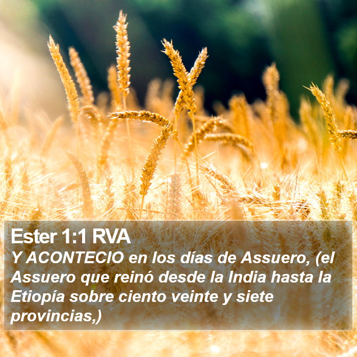 Ester 1:1 RVA Bible Study