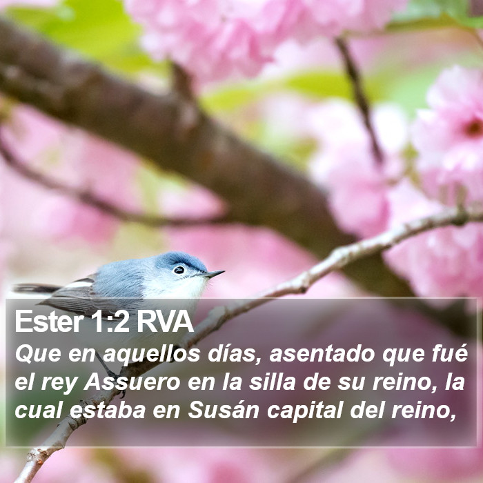 Ester 1:2 RVA Bible Study