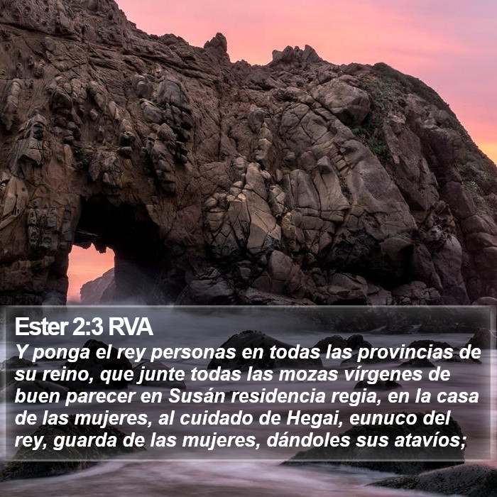 Ester 2:3 RVA Bible Study