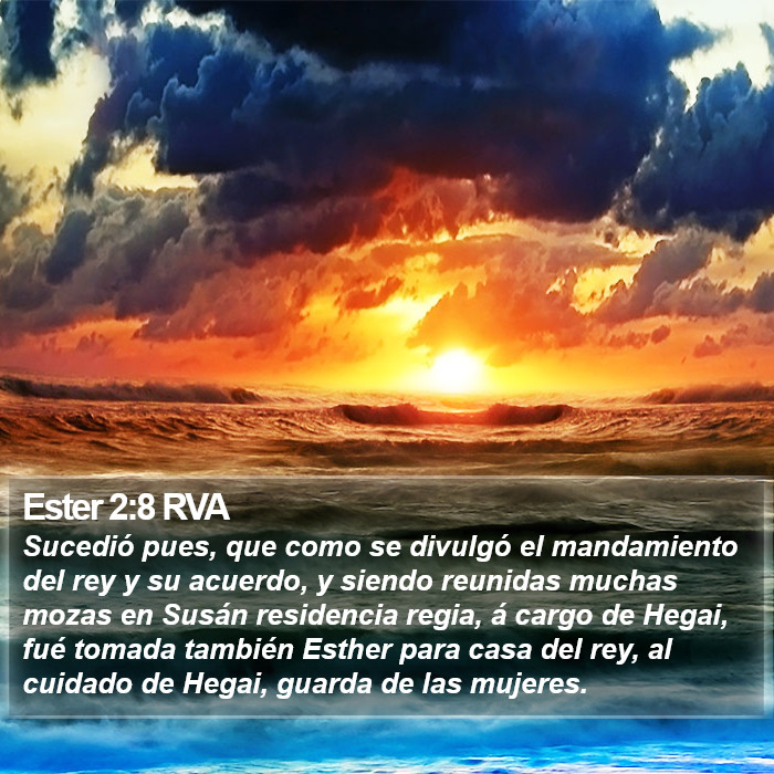 Ester 2:8 RVA Bible Study