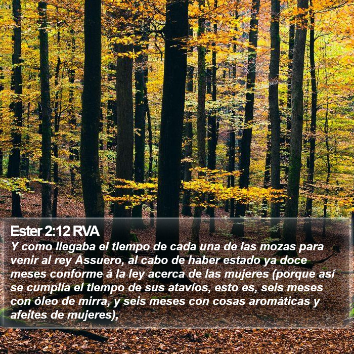 Ester 2:12 RVA Bible Study